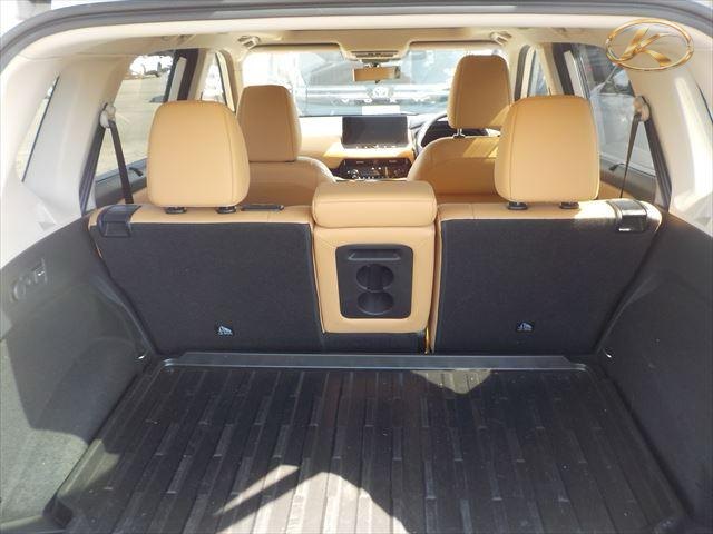 2023 Nissan Xtrail Pearl photo 12